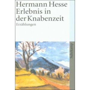 Erlebnis in der Knabenzeit | Hermann Hesse (ISBN: 9783518458013)