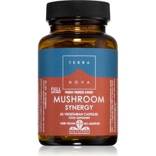 Terranova Health Synergy Mushrooms BIO kapsuly na maximálne posilnenie imunity 50 kapsúl