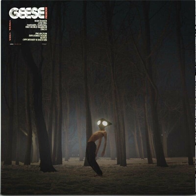 Geese - Projector LP