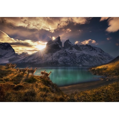 Heye - Puzzle Humboldt: Guanacos camels at sundowner - 1 000 piese