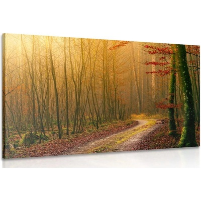 Obraz cestička do lesa - 120x80