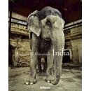 India Andreas H.Bitesnich