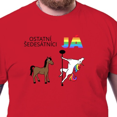 Tričko Ostatní šedesátníci pánské – Hledejceny.cz