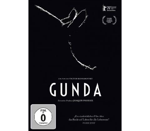 Video Gunda