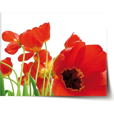 Sablio Plagát Tulipány - 90x60 cm