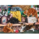 Sunsout Playful Kittens 1000 dielov