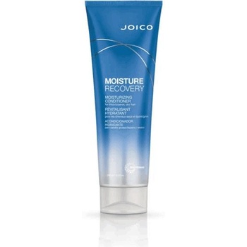 Joico Дълбоко хидратиращ баслам за суха коса Moisture Recover Conditioner 250ml