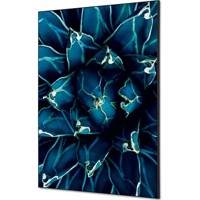 Jansen Display Textilní dekorace na zeď A1 Cactus modrá, 594 x 841 mm