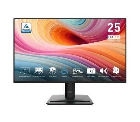 MSI PRO MP252 E2