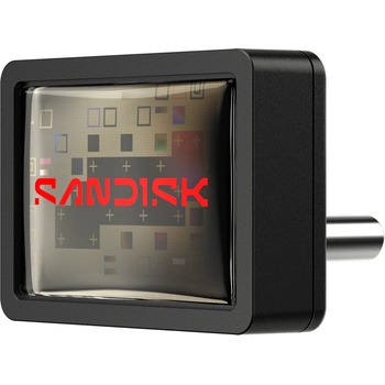 SanDisk Extreme Fit 256GB SDCZ530-256G-G46