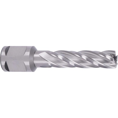 ABSE N-HS-W19-0130050