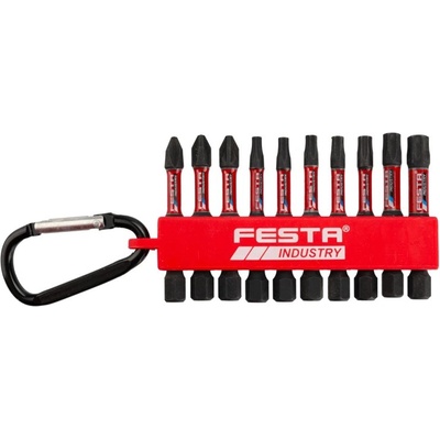 FESTA Комплект торсионни битове festa industry ph-pz-torx s2 1/4" 50 мм 10 броя 18432.01 (18432.01)