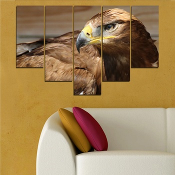 Vivid Home Картини пана Vivid Home от 5 части, Птици, Канава, 110x65 см, 6-та Форма №0615