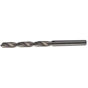 Festa 19656