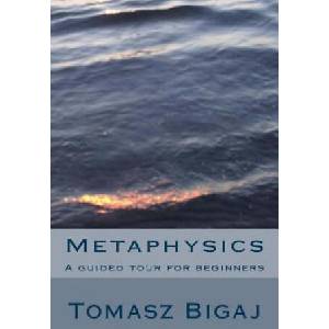 Metaphysics: A guided tour for beginners | Tomasz Bigaj (ISBN: 9781475055405)