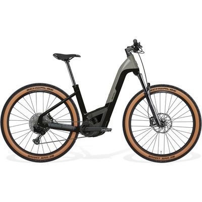 Besv TRX-B 1.0 LS 2025
