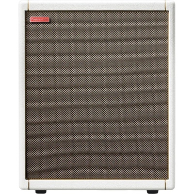 Positive Grid Spark CAB Китара кабинет (SE012M-EUSS)