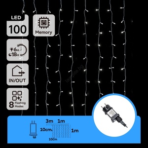Aigostar - LED външен гирлянд 100xLED/8 режима 4x1m IP44 студено бяло (AI1441)