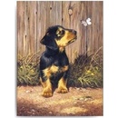 Malování podle čísel Pejsek s motýlkem