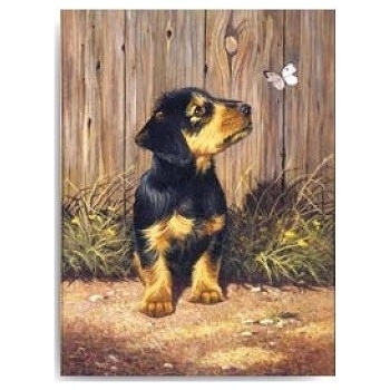 Malování podle čísel Pejsek s motýlkem