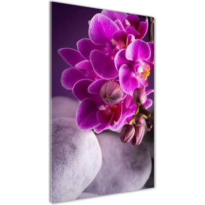 Vertikálny foto obraz sklo tvrdené Ružová orchidea 50x100 cm
