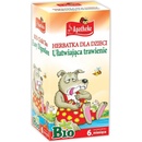 Apotheke Bio bylinný na dobré trávenie 20 x 1,5 g