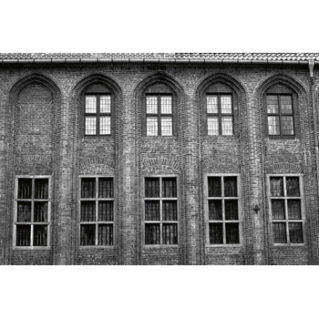 DIMEX ART s. r. o Флизелинов фототапет готически град зала 375 x 250 см