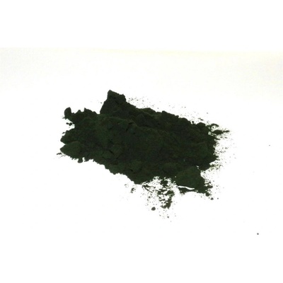 Salvia Paradise Chlorella prášok 100% HQ dezintegrovaná 1 kg