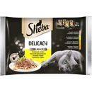 Krmivo pre mačky Sheba Delicacy in Jely Hydinový výber 4 x 85 g