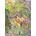 Magnolia - Puzzle Puzzle Thieves - 1 000 piese
