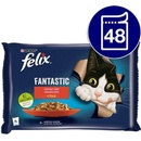 Felix Fantastic s hovädzím a kuraťom v želé 48 x 85 g