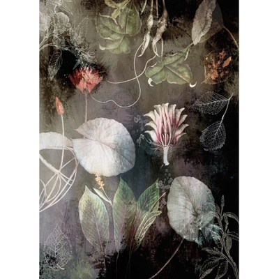 Komar Vliesová fototapeta Night Flowers rozměry 200 x 280 cm