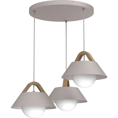 Luminex 4208