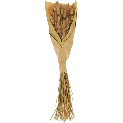 LAGURUS SUŠINA NATURAL