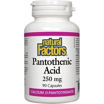 Natural Factors Пантотенова киселина 250 mg 90 капсули | Natural Factors (1251 NF)