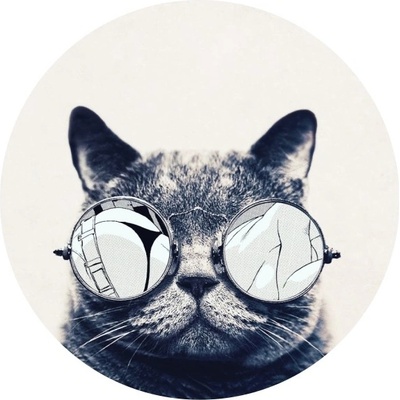 TopQ PopSocket Cat 53544