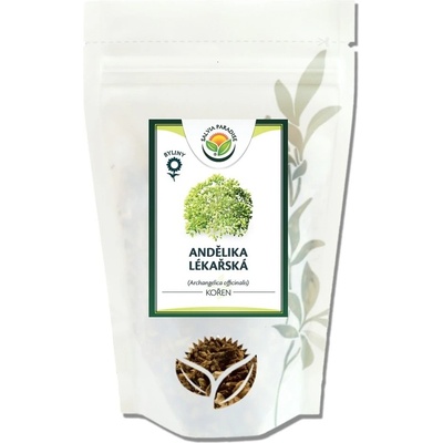 Salvia Paradise Andělika lékařská kořen 500 g