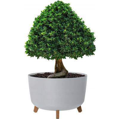 Prosperplast Květináč GRACIA STANDARD 38 cm světle šedý