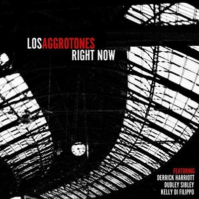 Los Aggrotones - Right Now LP