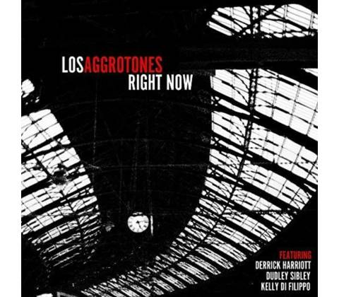 Los Aggrotones - Right Now LP
