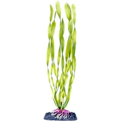 Penn Plax Corkscrew Val Medium 22 cm