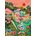 Pieces & Peace - Puzzle Polperro - 1 000 piese