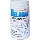 Gelacan Chondro Forte plv 500 g