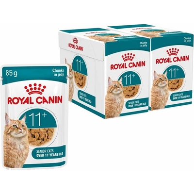 Royal Canin Ageing 11+ Jelly 24 x 85 g