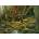 Cobble Hill - Puzzle Mother Nature - 1 000 piese