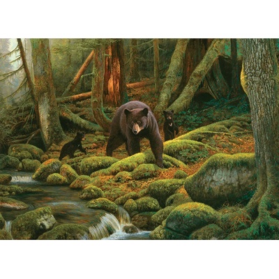 Cobble Hill - Puzzle Mother Nature - 1 000 piese