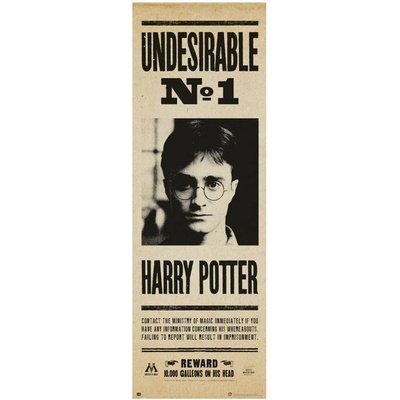 Plagát Harry Potter - Undesirable No.1