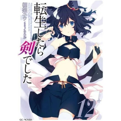 Reincarnated as a Sword (Light Novel) Vol. 12 | Llo