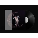 SMERZ - Believer LP