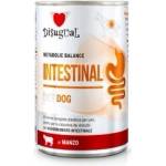Disugual Intestinal Beef за кучета с чревни заболявания, говеждо 400gr